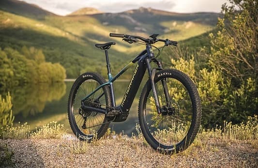 Electric Hardtail